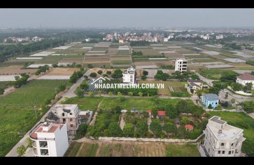 Bán biệt thự dự án Cienco 5 Mê Linh, dt 300m2. Giá 42tr/m2